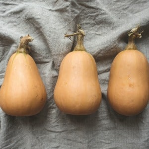 Fall Cleanse Program