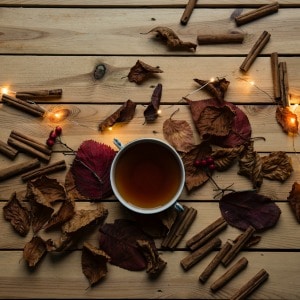 Fall Cleanse Program