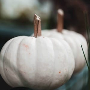 Online Winter Cleanse